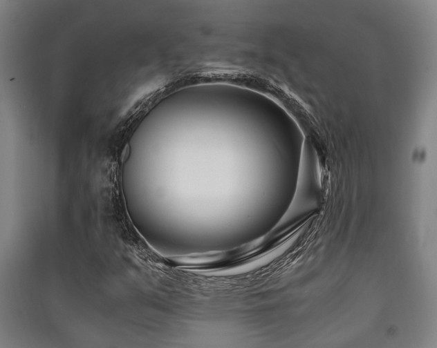 X0000091451351200708161250