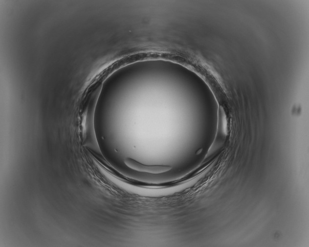 X0000091451352200708161250