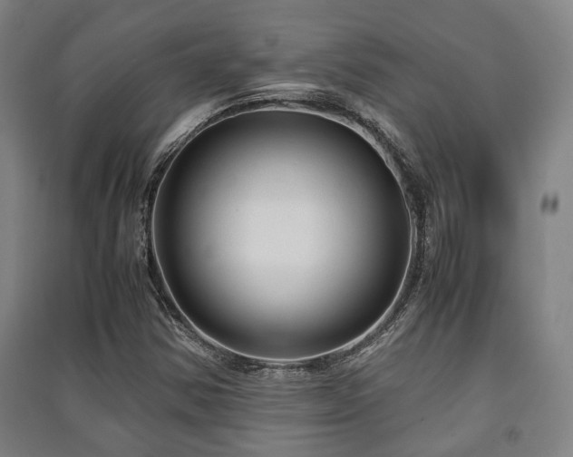 X0000091451354200708161250