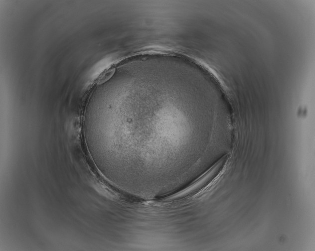 X0000091451355200708161250