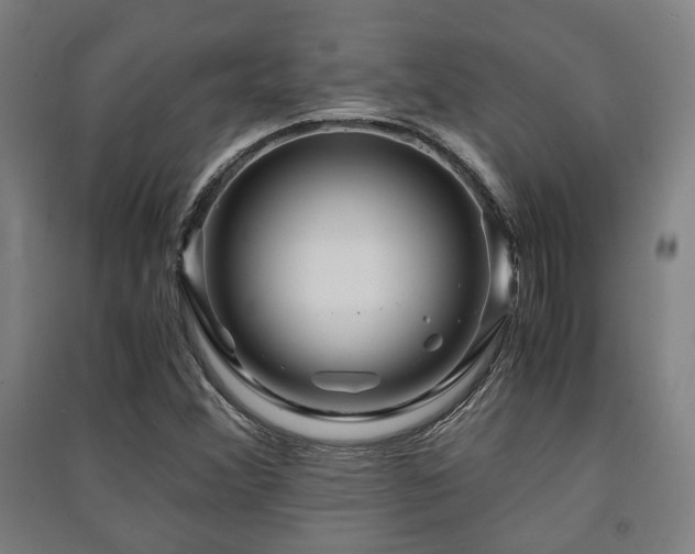 X0000091451356200708161250