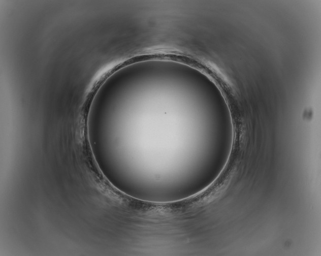 X0000091451358200708161250