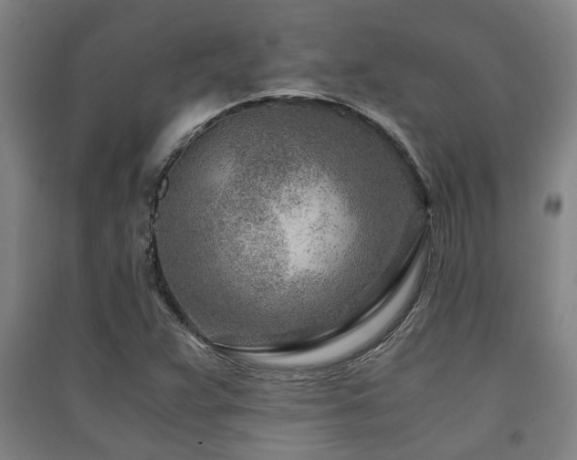 X0000091451359200708161250