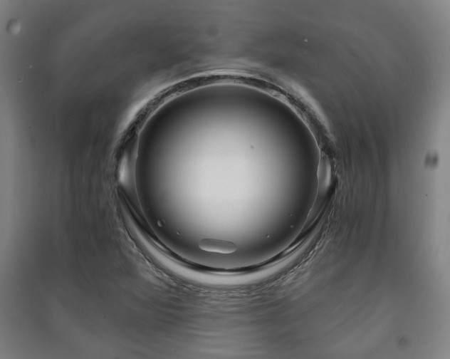 X0000091451360200708161250