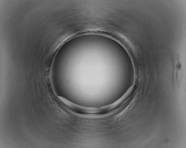 X0000091451361200708161250