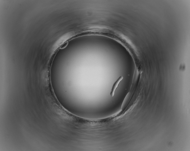 X0000091451362200708161250