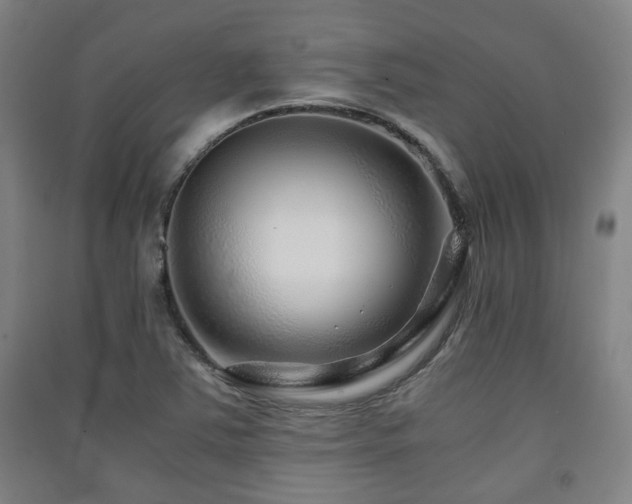 X0000091451363200708161250