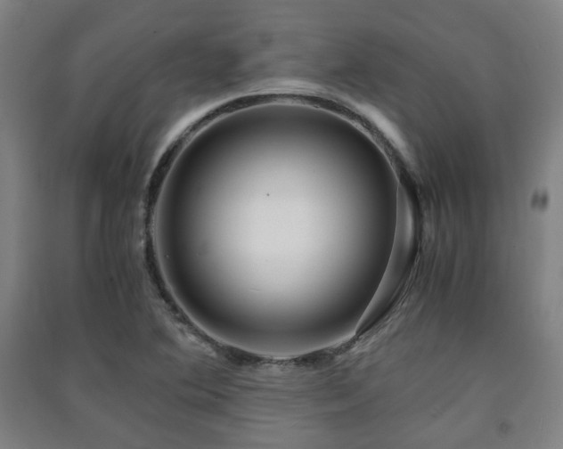 X0000091451364200708161250