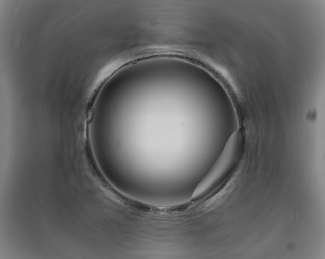 X0000091451365200708161250