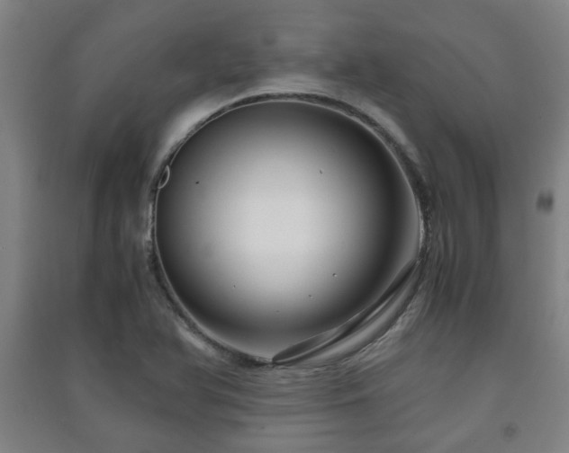 X0000091451366200708161250