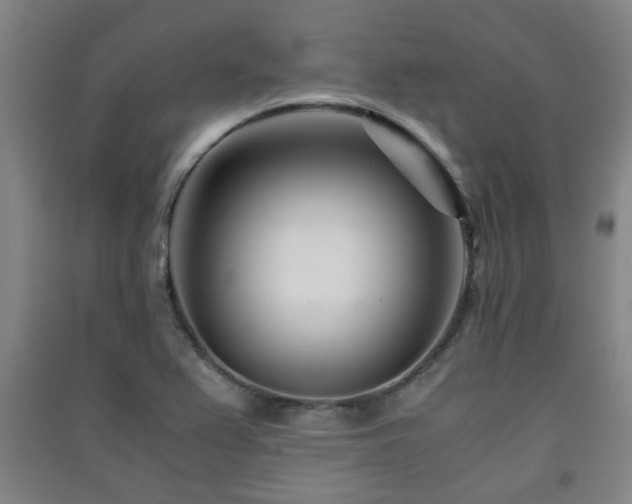 X0000091451367200708161250