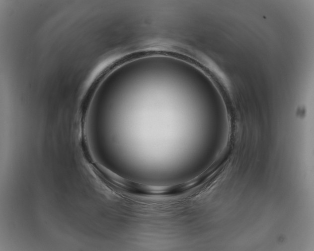 X0000091451368200708161250
