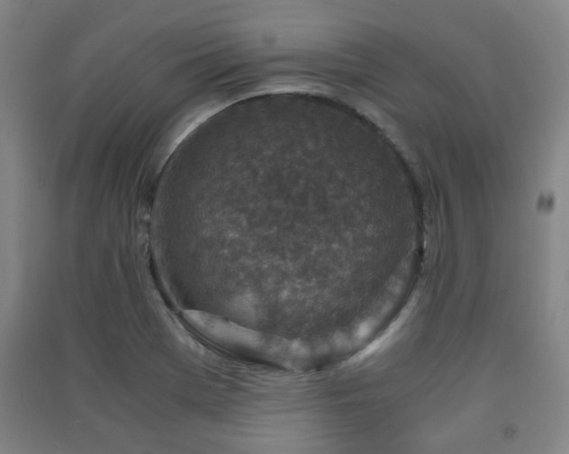 X0000091451369200708161250