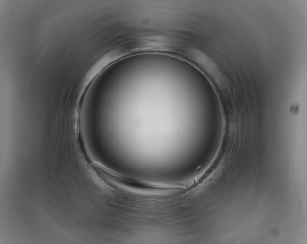 X0000091451370200708161250