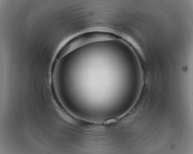 X0000091451372200708161249