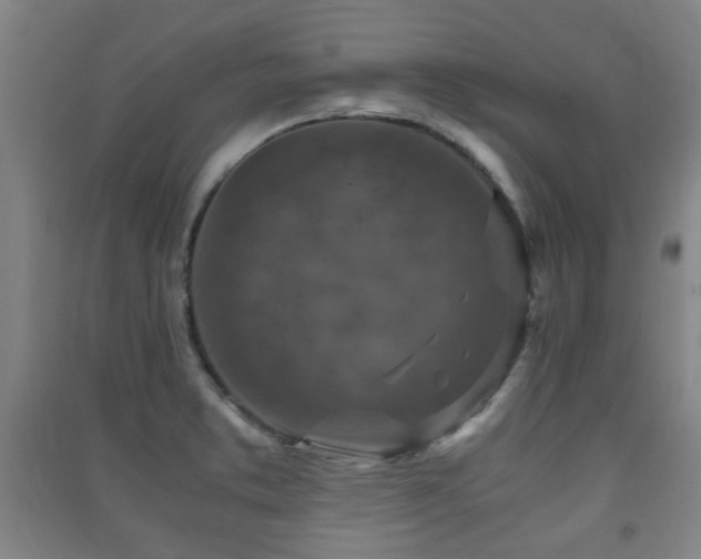 X0000091451373200708161249
