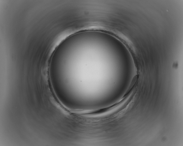X0000091451374200708161249