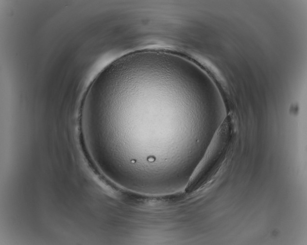 X0000091451375200708161249