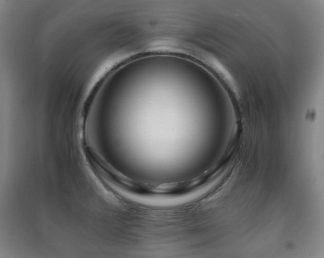 X0000091451376200708161249