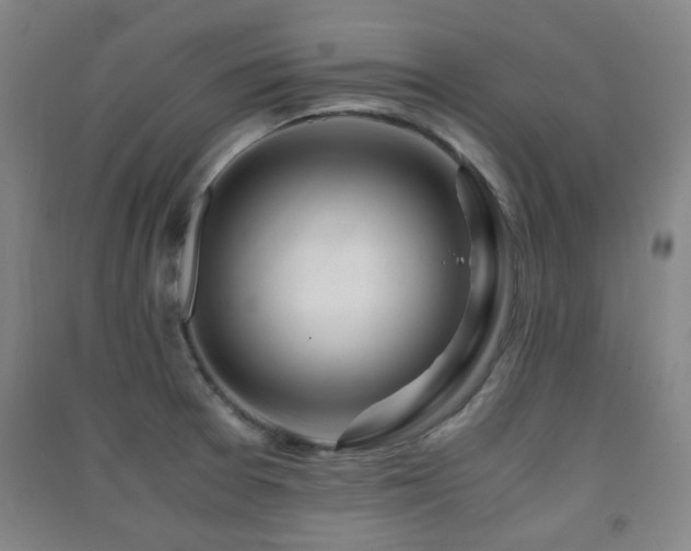 X0000091451377200708161249