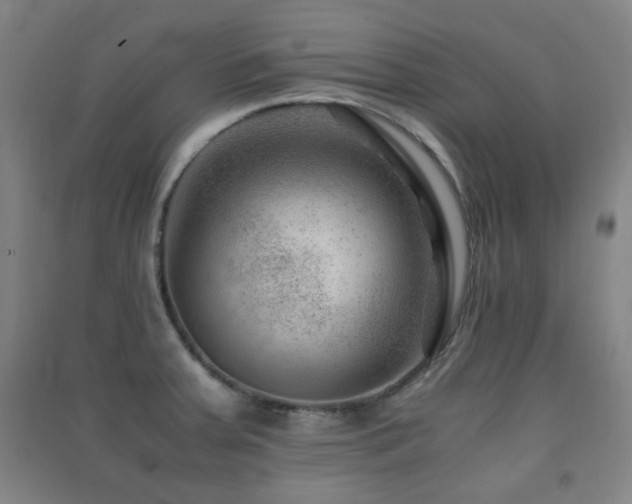 X0000091451379200708161249