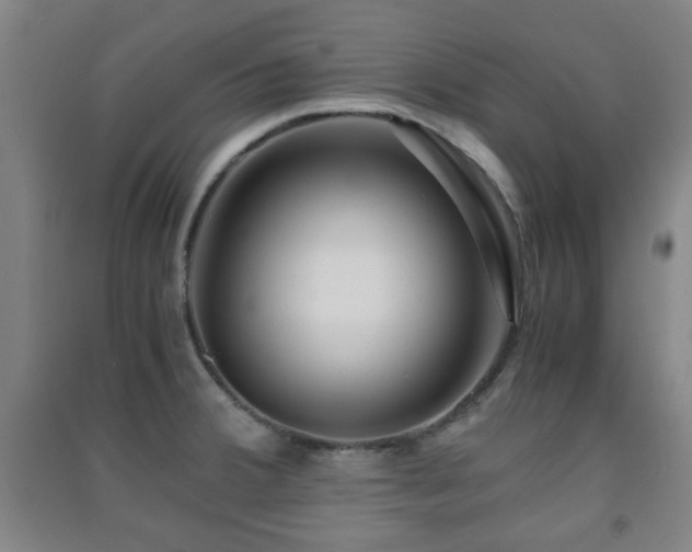 X0000091451380200708161249
