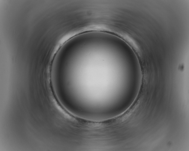 X0000091451382200708161249