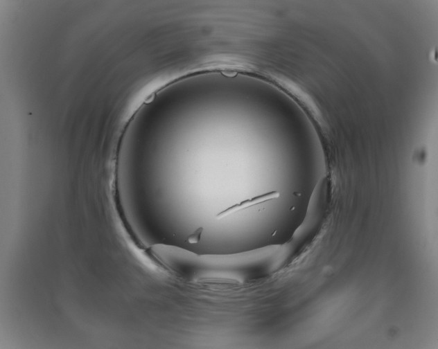 X0000091451383200708161249