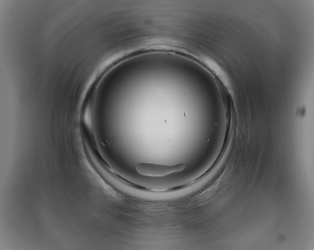 X0000091451384200708161249