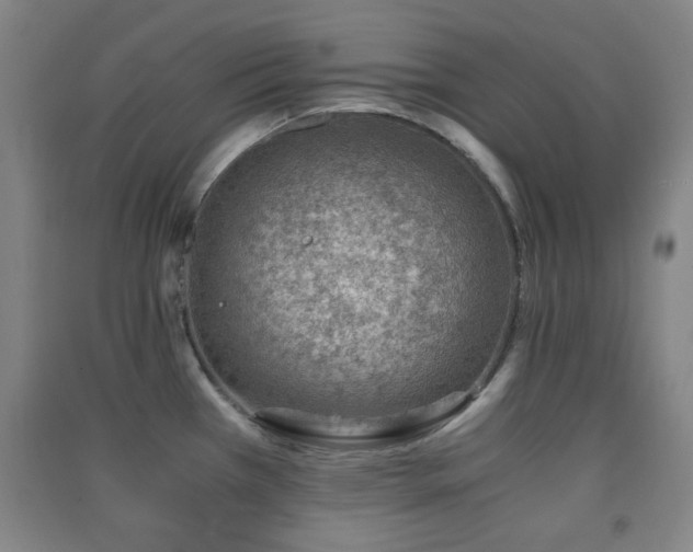 X0000091451385200708161249