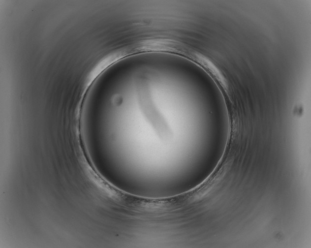X0000091451386200708161249