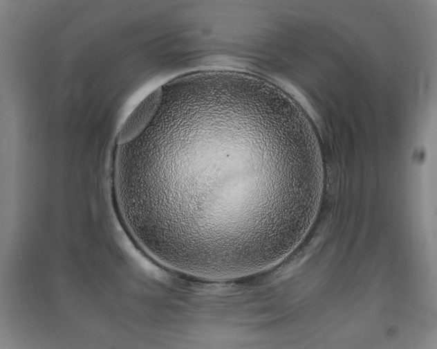 X0000091451387200708161249