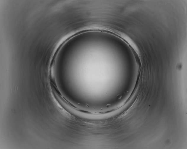 X0000091451388200708161249