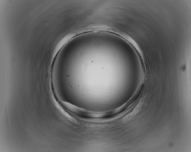 X0000091451389200708161249