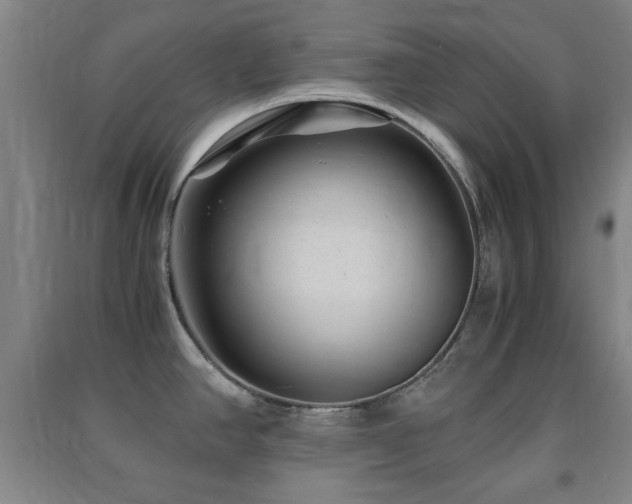 X0000091451390200708161249
