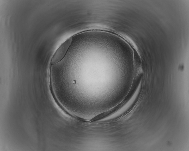 X0000091451391200708161249