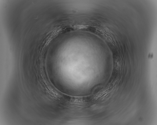 X0000091451393200708161249