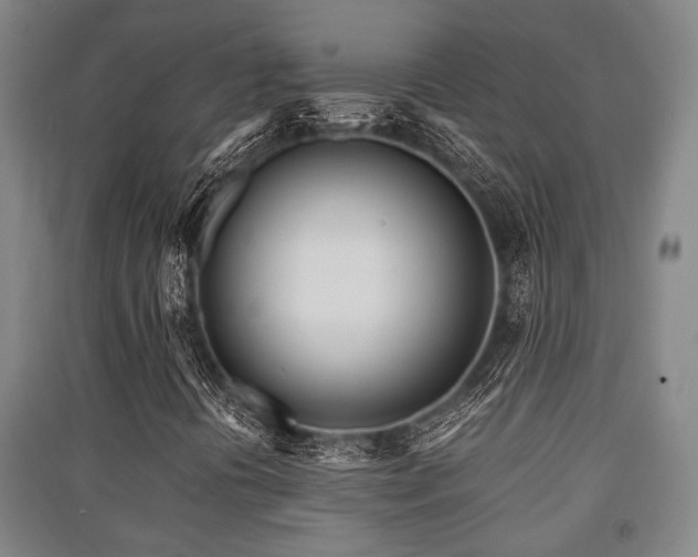 X0000091451394200708161249