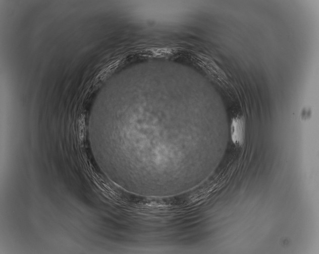 X0000091451395200708161249