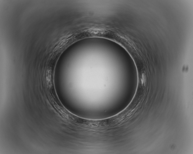 X0000091451396200708161249