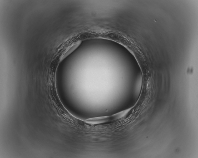 X0000091451397200708161249
