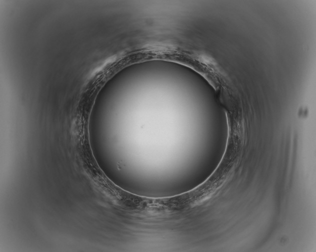 X0000091451398200708161249