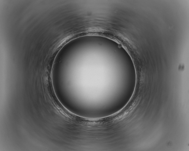 X0000091451401200708161249
