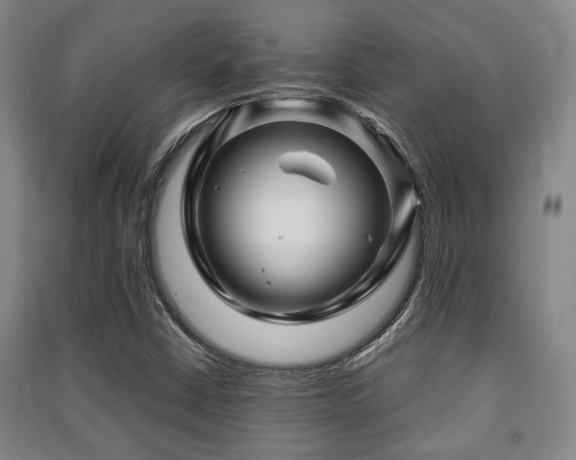 X0000091451402200708161249