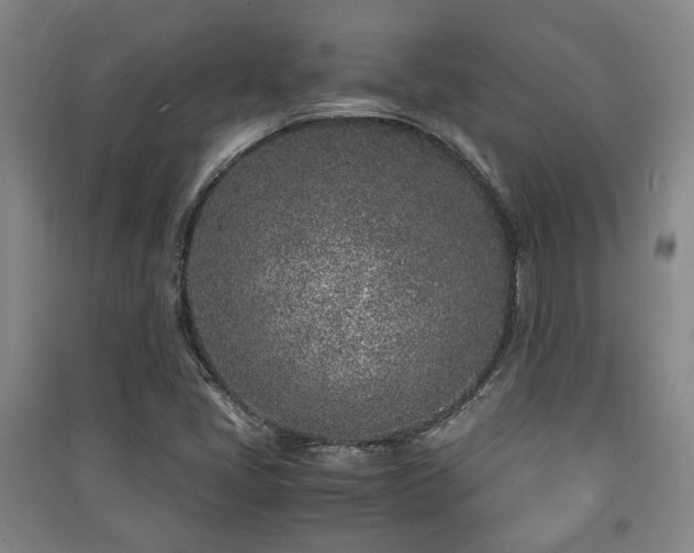 X0000091451405200708161249