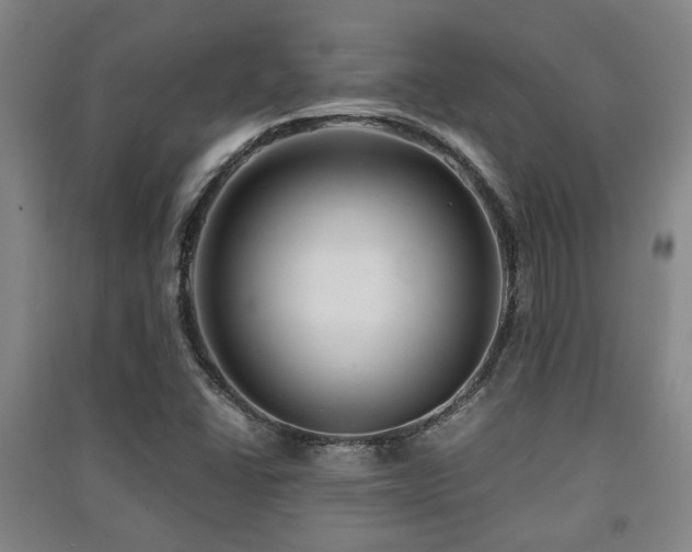 X0000091451406200708161249