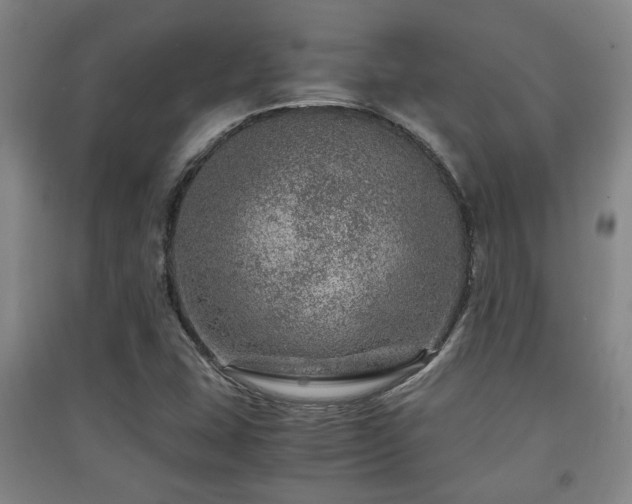 X0000091451407200708161249