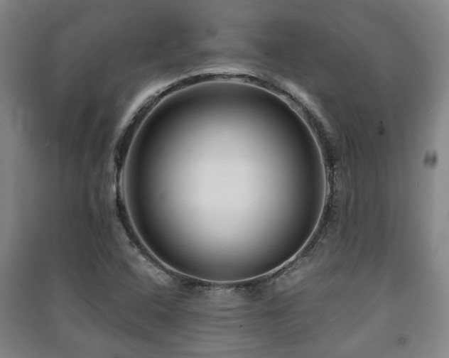 X0000091451408200708161249