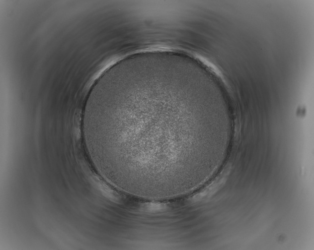 X0000091451409200708161249