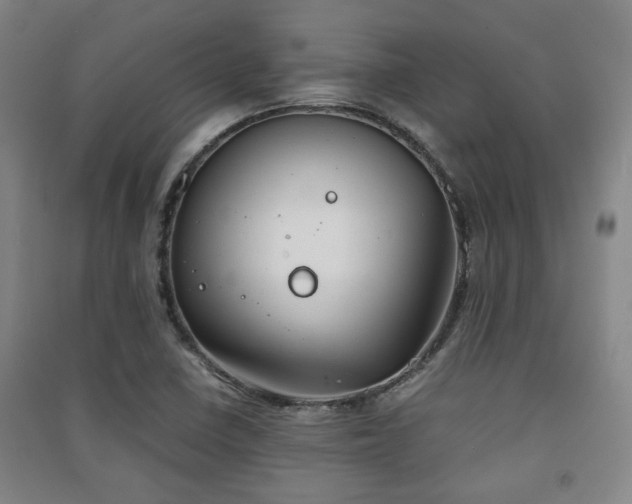 X0000091451410200708161249